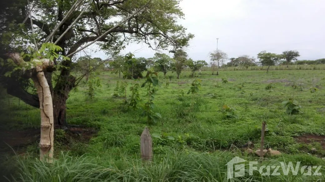Land for Sale at PUNTA LEONA: Oceanfront Apartment For Sale in Punta Leona for $76,000