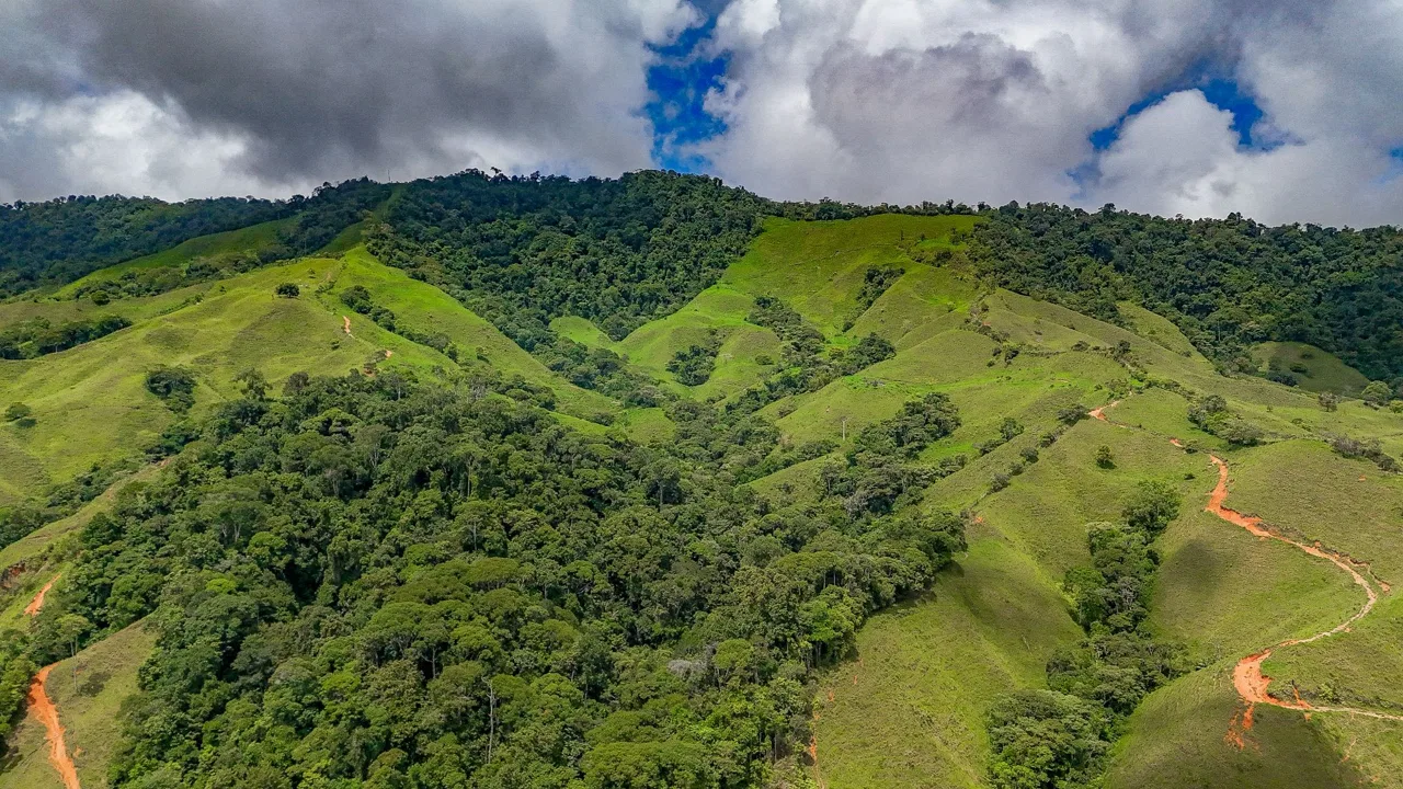 BUILDING FARM PROPERTY WITH MOUNTAIN VIEW, IN PUERTO CORTES – 464 ACRES, photo 11