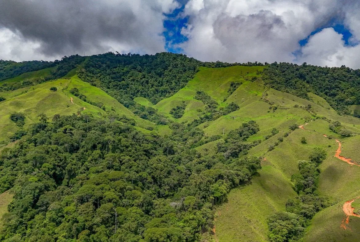 BUILDING FARM PROPERTY WITH MOUNTAIN VIEW, IN PUERTO CORTES – 464 ACRES, photo 12