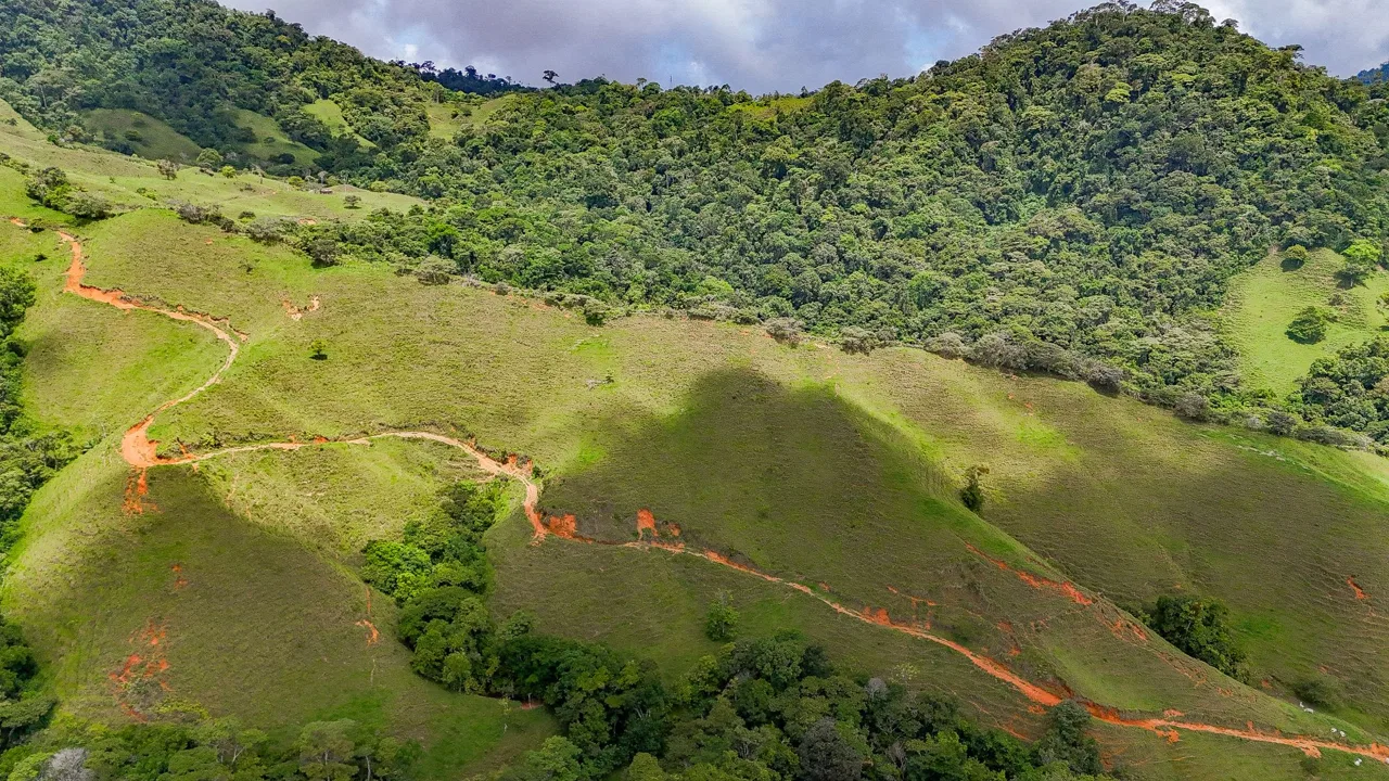 BUILDING FARM PROPERTY WITH MOUNTAIN VIEW, IN PUERTO CORTES – 464 ACRES, photo 13