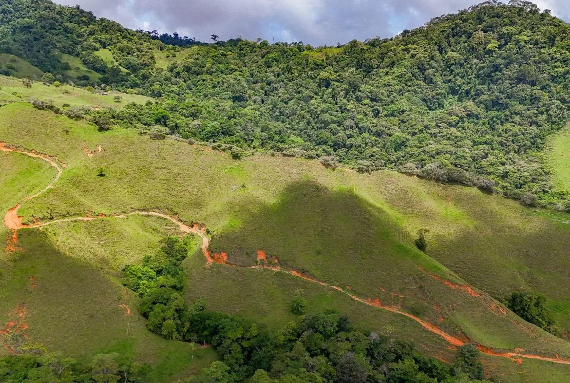 BUILDING FARM PROPERTY WITH MOUNTAIN VIEW, IN PUERTO CORTES – 464 ACRES, photo 14