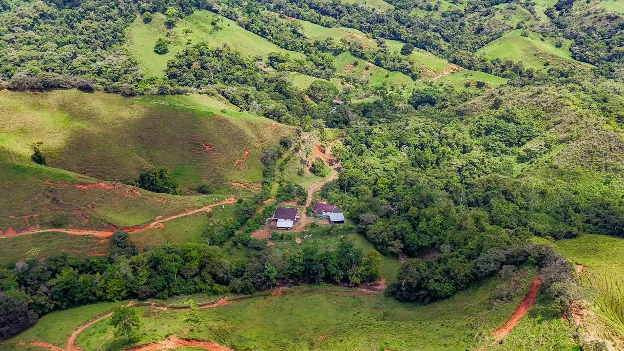 BUILDING FARM PROPERTY WITH MOUNTAIN VIEW, IN PUERTO CORTES – 464 ACRES, photo 15