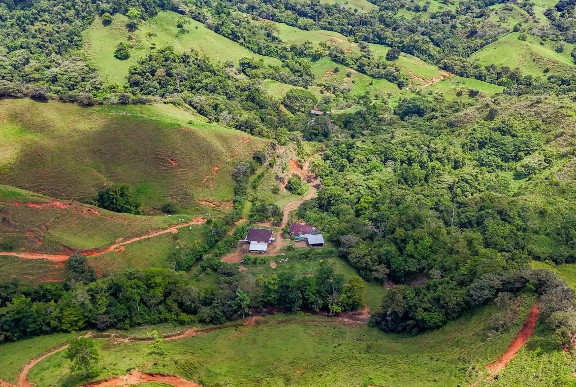 BUILDING FARM PROPERTY WITH MOUNTAIN VIEW, IN PUERTO CORTES – 464 ACRES, photo 16