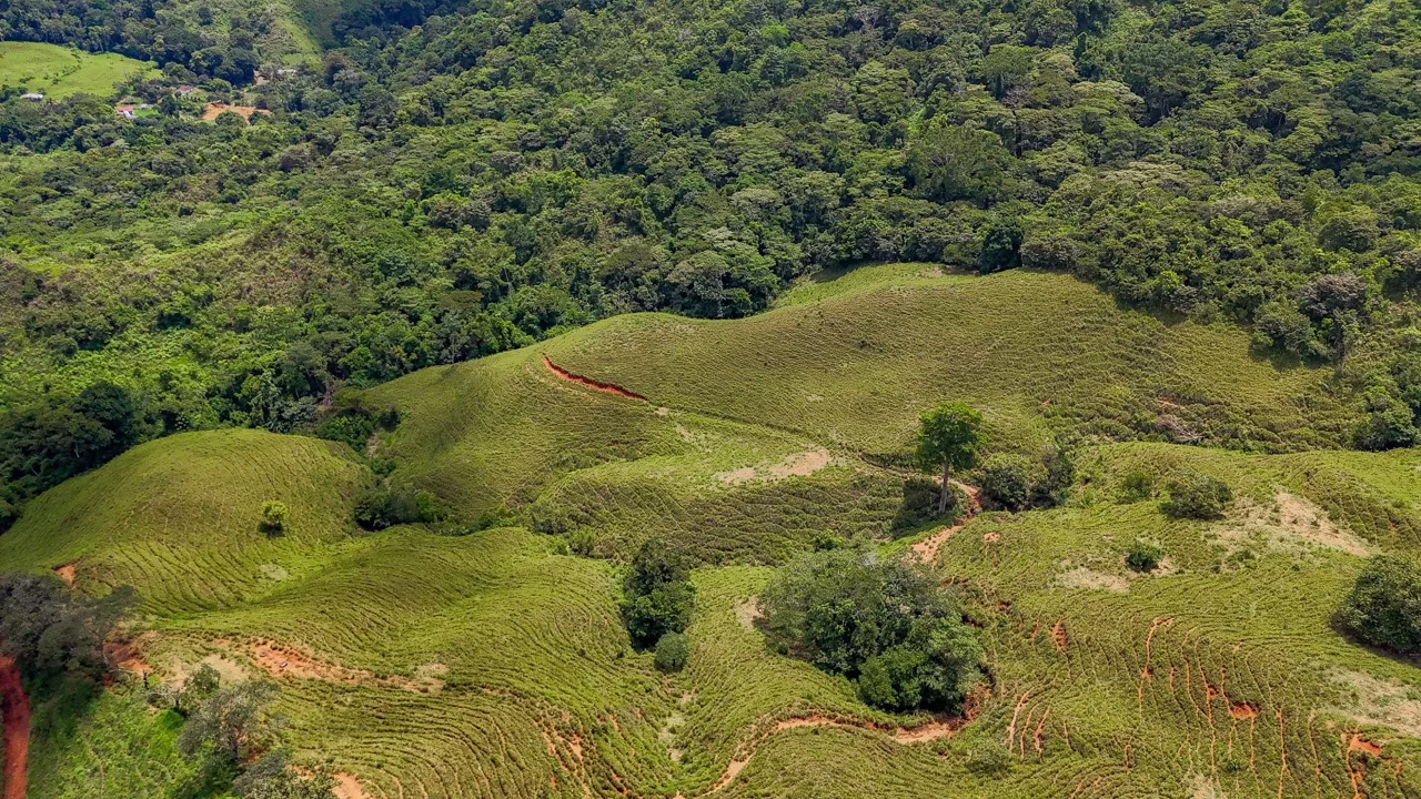 BUILDING FARM PROPERTY WITH MOUNTAIN VIEW, IN PUERTO CORTES – 464 ACRES, photo 17