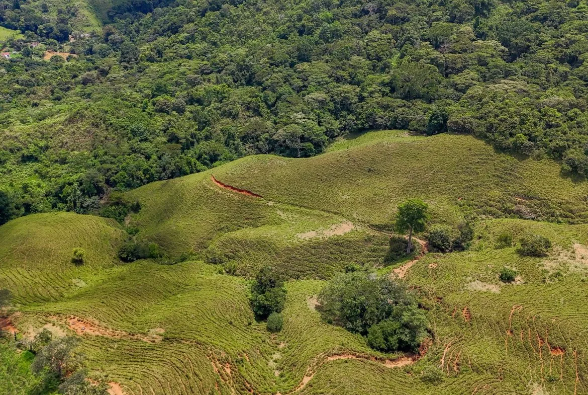 BUILDING FARM PROPERTY WITH MOUNTAIN VIEW, IN PUERTO CORTES – 464 ACRES, photo 18