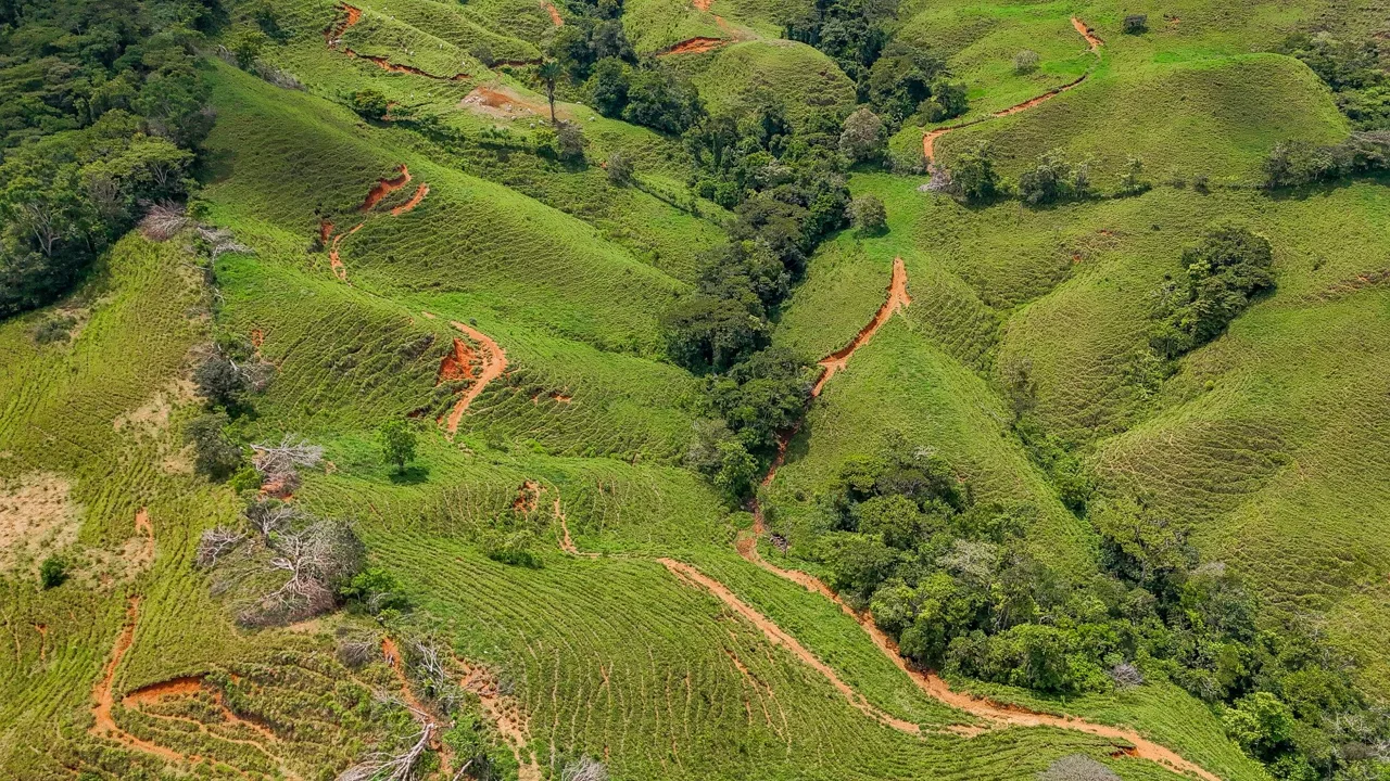BUILDING FARM PROPERTY WITH MOUNTAIN VIEW, IN PUERTO CORTES – 464 ACRES, photo 19