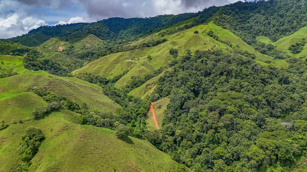 BUILDING FARM PROPERTY WITH MOUNTAIN VIEW, IN PUERTO CORTES – 464 ACRES, photo 21
