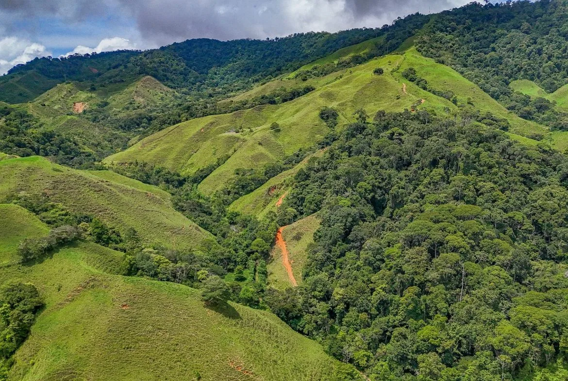 BUILDING FARM PROPERTY WITH MOUNTAIN VIEW, IN PUERTO CORTES – 464 ACRES, photo 22