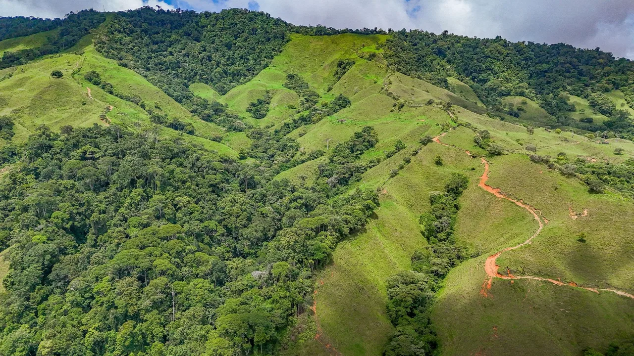BUILDING FARM PROPERTY WITH MOUNTAIN VIEW, IN PUERTO CORTES – 464 ACRES, photo 9
