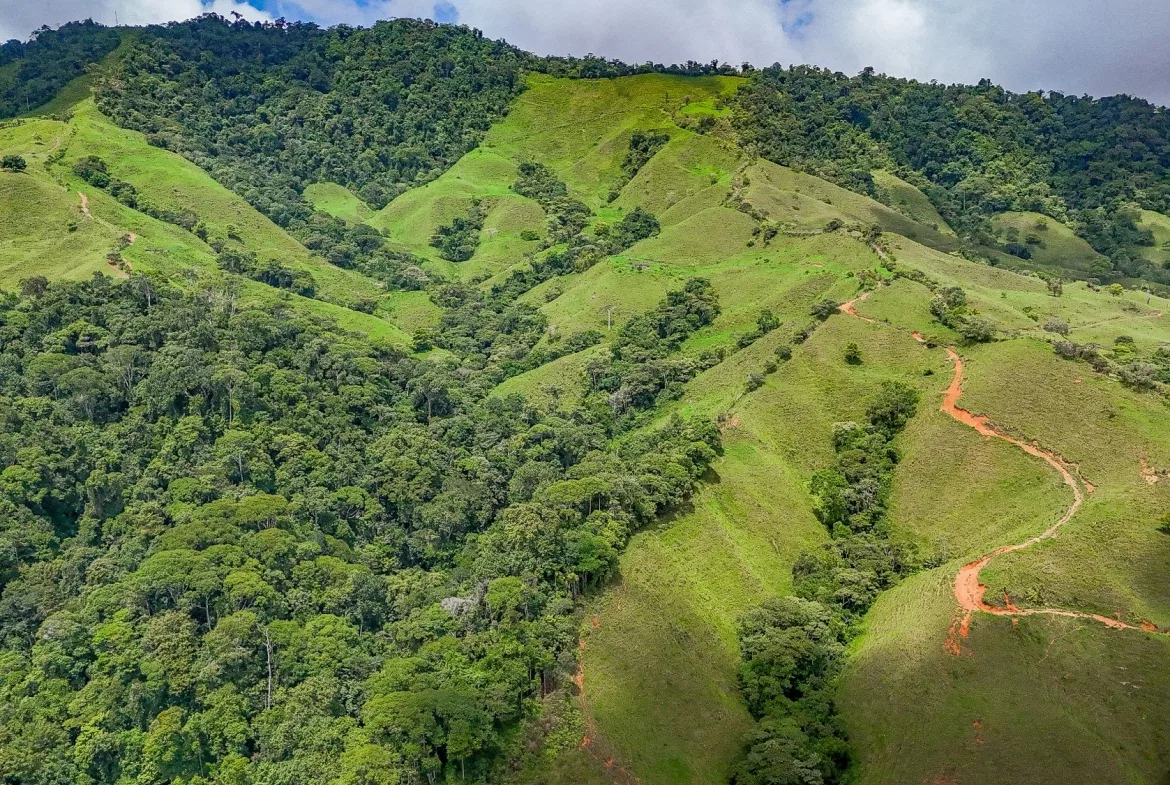 BUILDING FARM PROPERTY WITH MOUNTAIN VIEW, IN PUERTO CORTES – 464 ACRES, photo 10