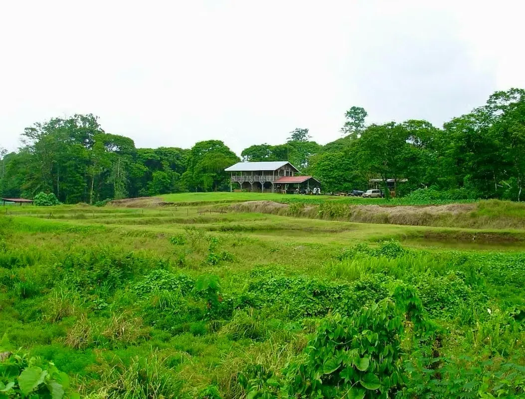 Farm for Sale – Ideal for Agricultural Production and Ecotourism