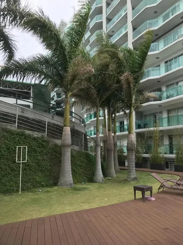 Excelente apartamento en Torre A, piso 10, con amplios espacios y una ubicación privilegiada en Rohrmoser.