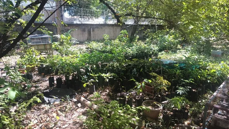 Prime Lot, very close to the beach for sale in the center of Playas del Coco, photo 4