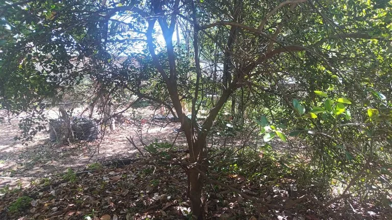 Prime Lot, very close to the beach for sale in the center of Playas del Coco, photo 6