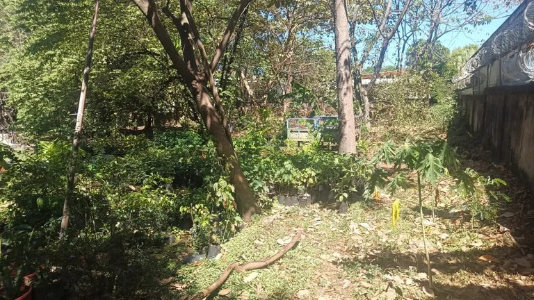 Prime Lot, very close to the beach for sale in the center of Playas del Coco, photo 7