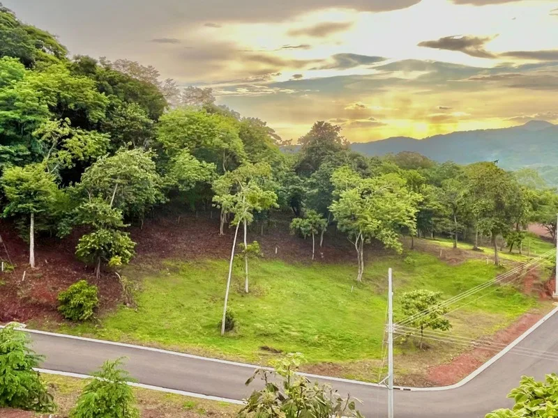 Land For Sale in Huacas, photo 11