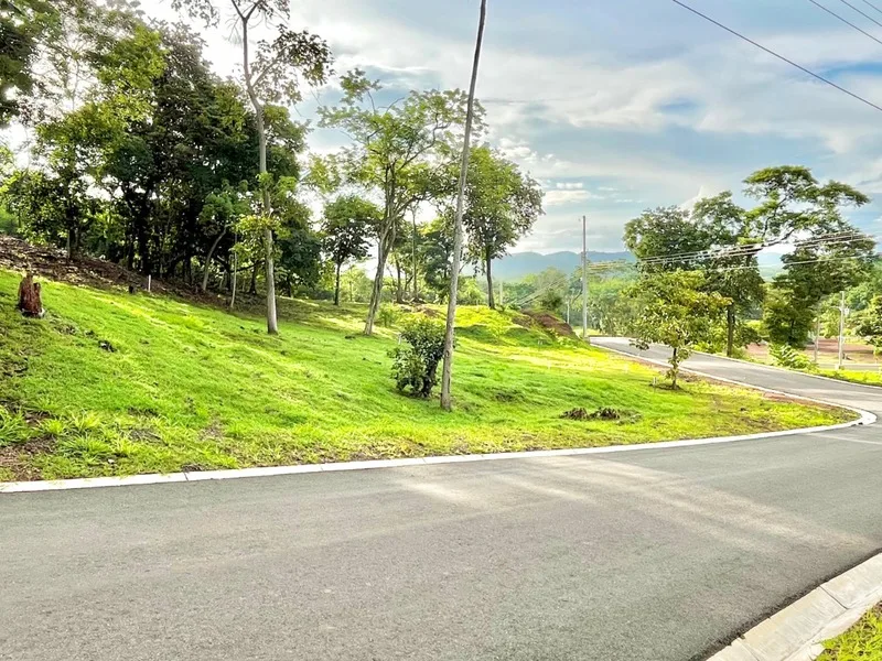 Land For Sale in Huacas, photo 13