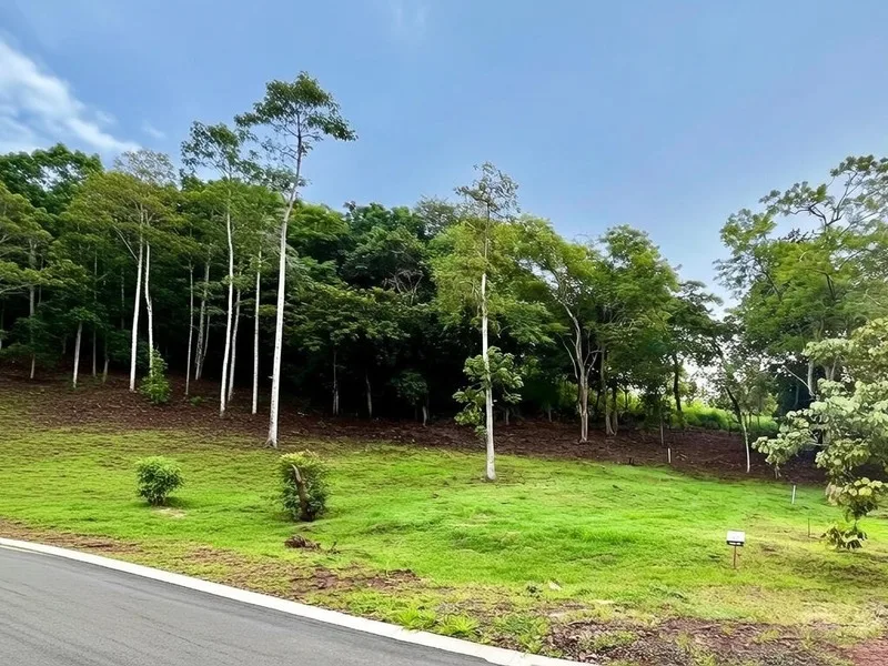 Land For Sale in Huacas, photo 14