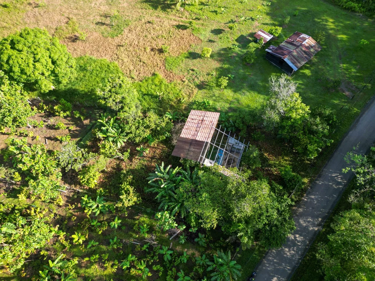 Guadalupe La Palma Lot for Sale – Near Playa Blanca &amp; Corcovado - REMAX Jungle Properties | Pavones Golfito Real Estate