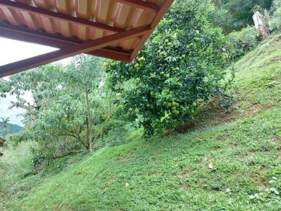 Venta de Casa en Pérez de Zeledón, San José. RAH 25-212 - Venta en Perez Zeledón, photo 11