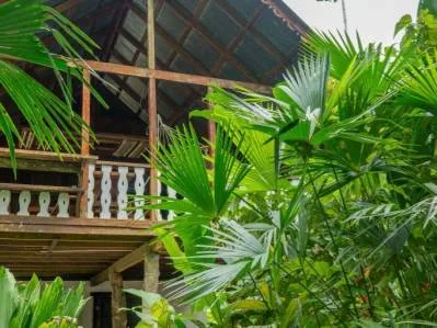Encantadora casa de dos plantas con gran jardín tropical, photo 2