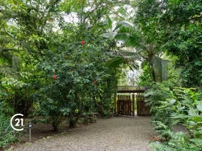 Encantadora casa de dos plantas con gran jardín tropical, photo 3