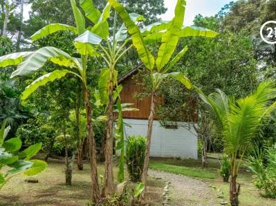 Encantadora casa de dos plantas con gran jardín tropical, photo 6