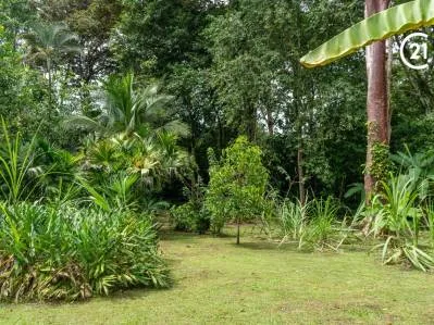 Encantadora casa de dos plantas con gran jardín tropical, photo 7