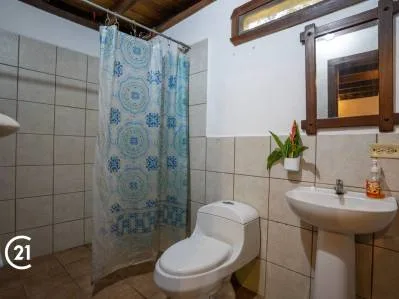 Encantadora casa de dos plantas con gran jardín tropical, photo 8