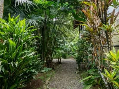 Encantadora casa de dos plantas con gran jardín tropical, photo 9