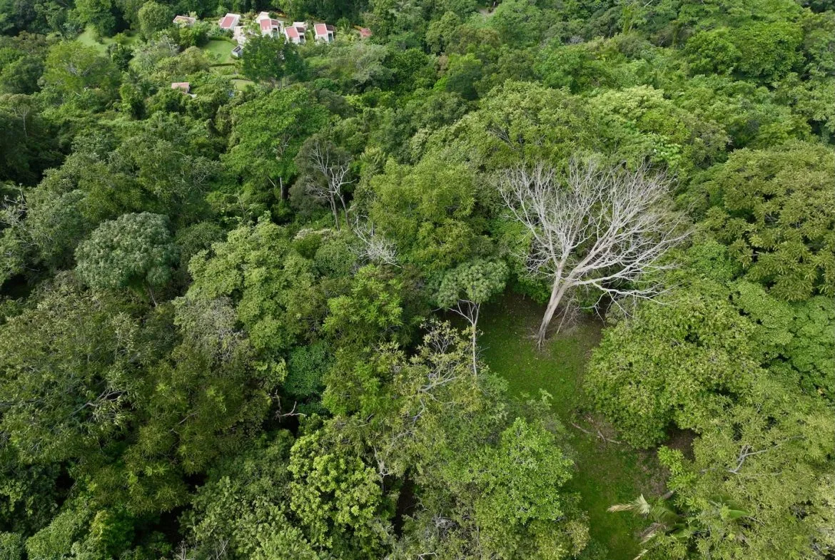 JUNGLE BUILDING PROPERTY WITH PANORAMIC VALLEY VIEW WITH CREEK IN TRES RIOS, – 61.7 ACRES, photo 2
