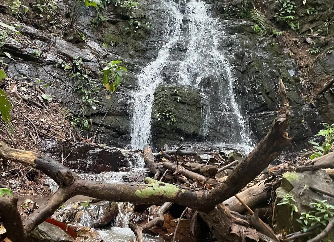 JUNGLE BUILDING PROPERTY WITH PANORAMIC VALLEY VIEW WITH CREEK IN TRES RIOS, – 61.7 ACRES, photo 14