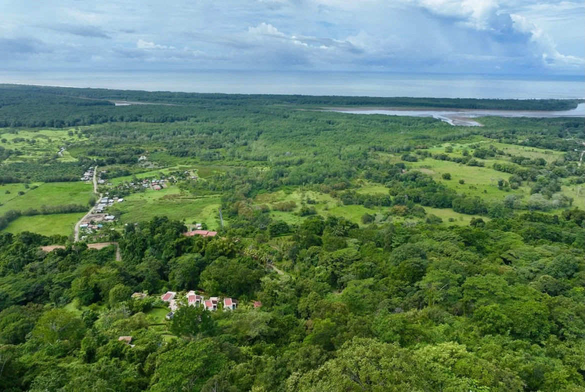 JUNGLE BUILDING PROPERTY WITH PANORAMIC VALLEY VIEW WITH CREEK IN TRES RIOS, – 61.7 ACRES, photo 16
