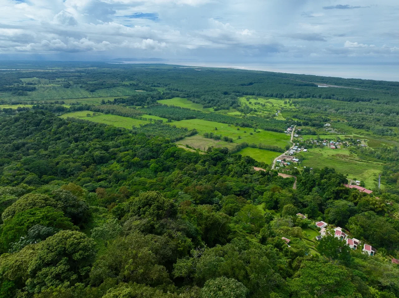 JUNGLE BUILDING PROPERTY WITH PANORAMIC VALLEY VIEW WITH CREEK IN TRES RIOS, – 61.7 ACRES, photo 19