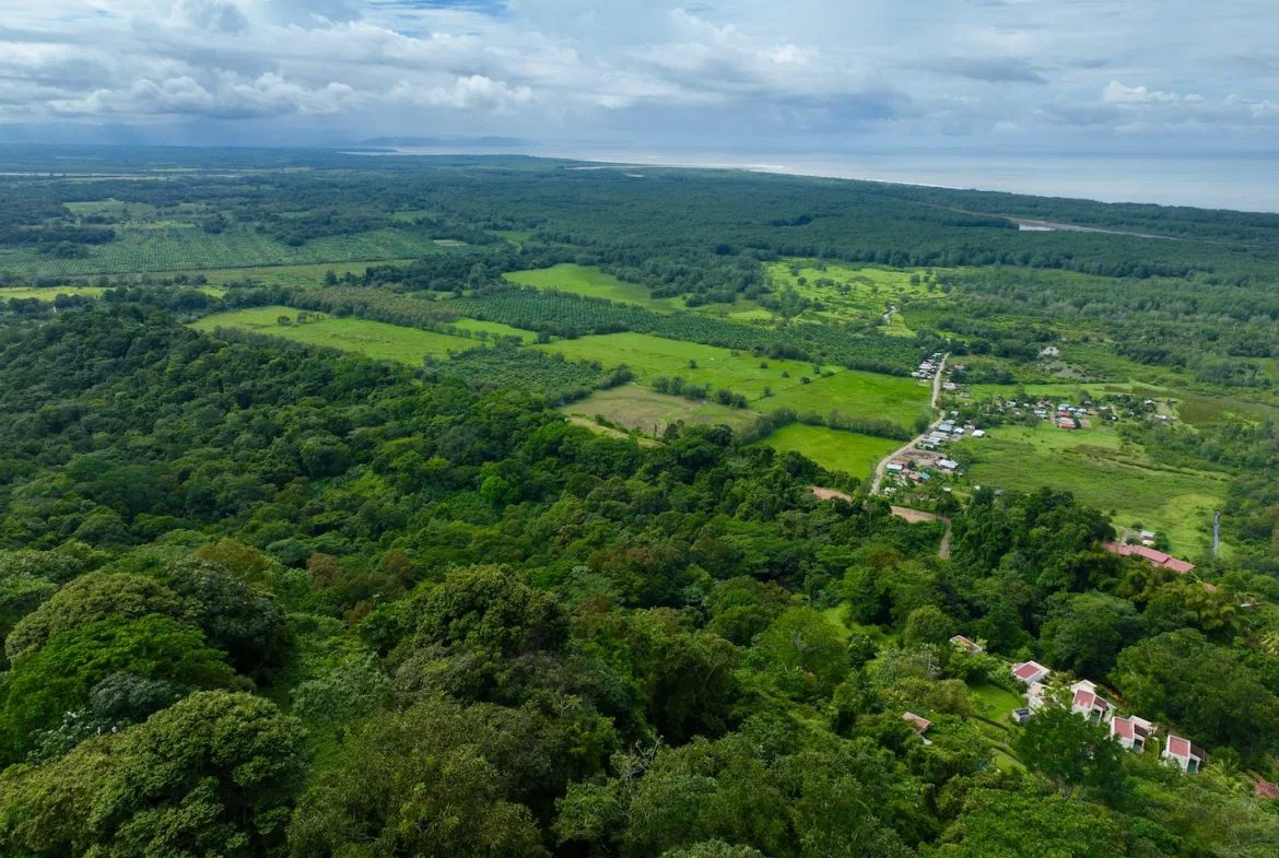 JUNGLE BUILDING PROPERTY WITH PANORAMIC VALLEY VIEW WITH CREEK IN TRES RIOS, – 61.7 ACRES, photo 20