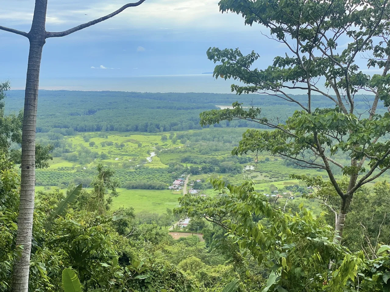 JUNGLE BUILDING PROPERTY WITH PANORAMIC VALLEY VIEW WITH CREEK IN TRES RIOS, – 61.7 ACRES, photo 3