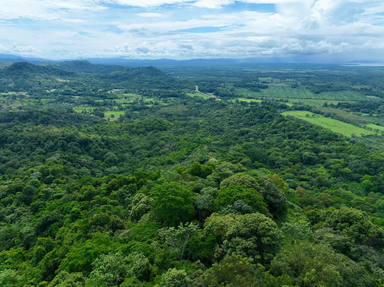 JUNGLE BUILDING PROPERTY WITH PANORAMIC VALLEY VIEW WITH CREEK IN TRES RIOS, – 61.7 ACRES, photo 21