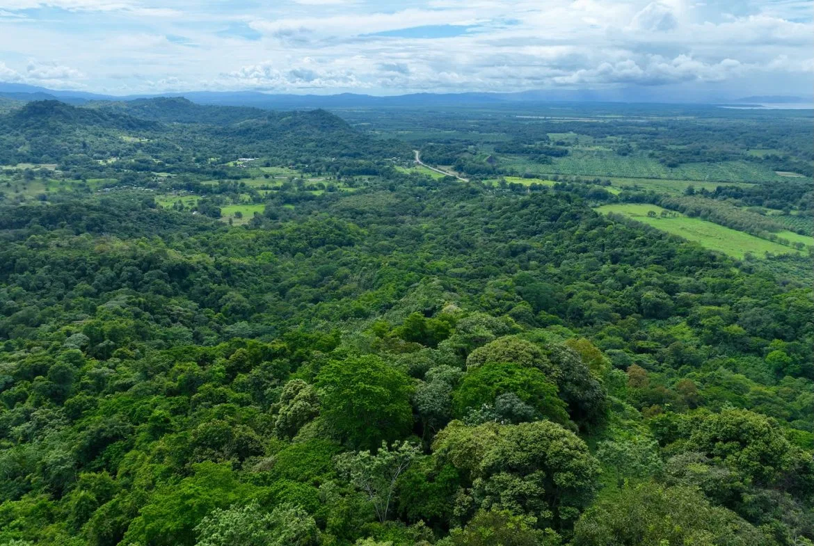 JUNGLE BUILDING PROPERTY WITH PANORAMIC VALLEY VIEW WITH CREEK IN TRES RIOS, – 61.7 ACRES, photo 22