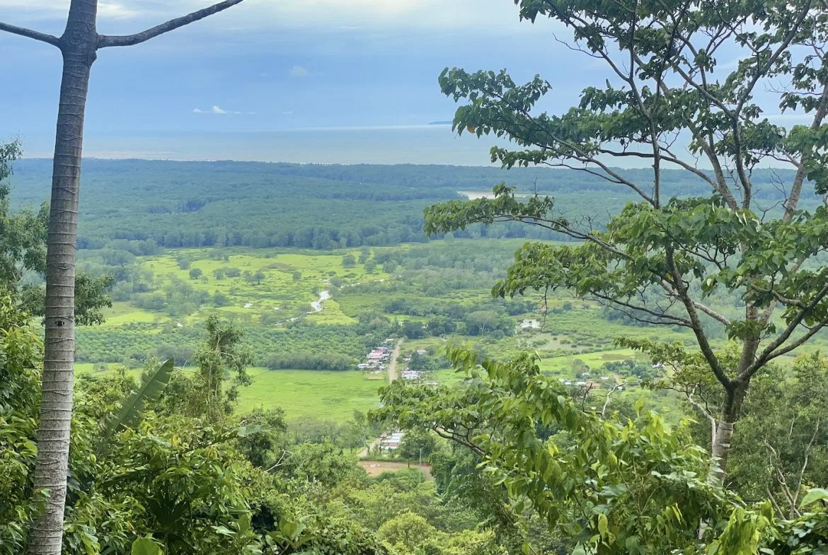 JUNGLE BUILDING PROPERTY WITH PANORAMIC VALLEY VIEW WITH CREEK IN TRES RIOS, – 61.7 ACRES, photo 4