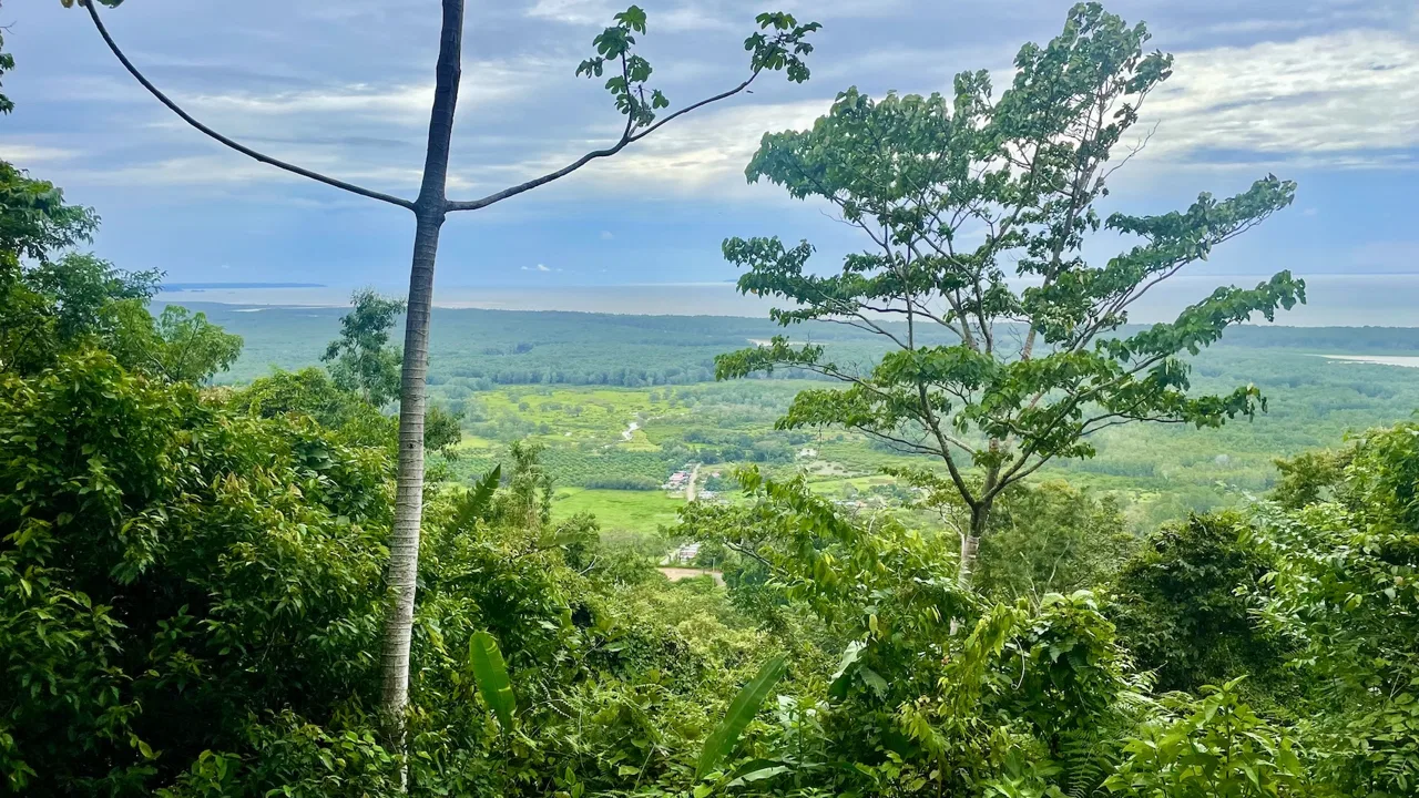 JUNGLE BUILDING PROPERTY WITH PANORAMIC VALLEY VIEW WITH CREEK IN TRES RIOS, – 61.7 ACRES, photo 5