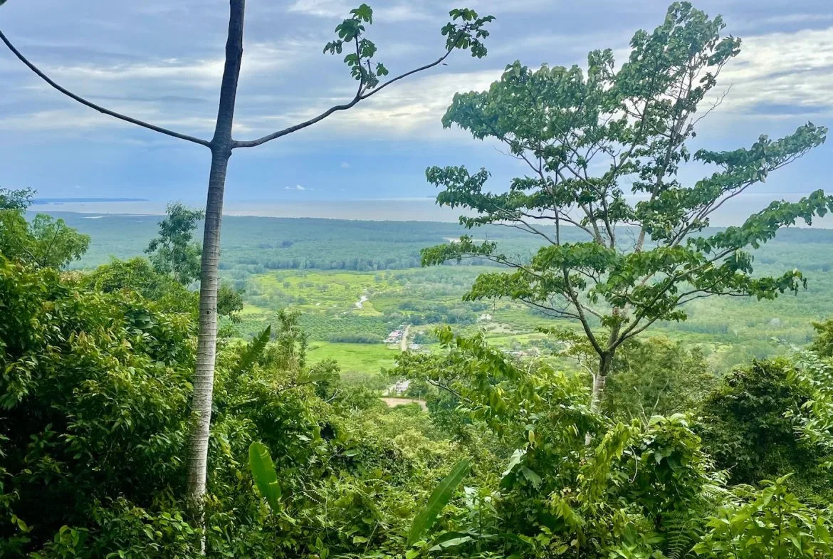 JUNGLE BUILDING PROPERTY WITH PANORAMIC VALLEY VIEW WITH CREEK IN TRES RIOS, – 61.7 ACRES, photo 6
