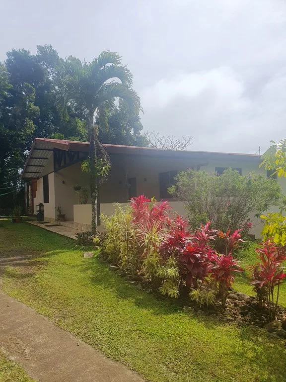 House in Río Piedras, photo 13