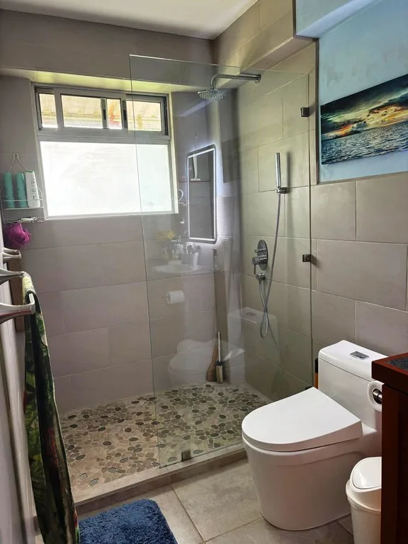 House in Río Piedras, photo 6