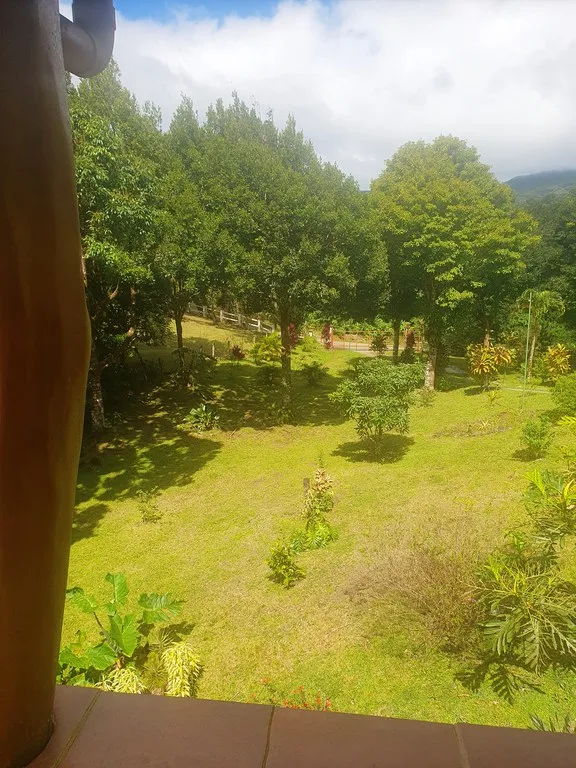 House in Río Piedras, photo 10