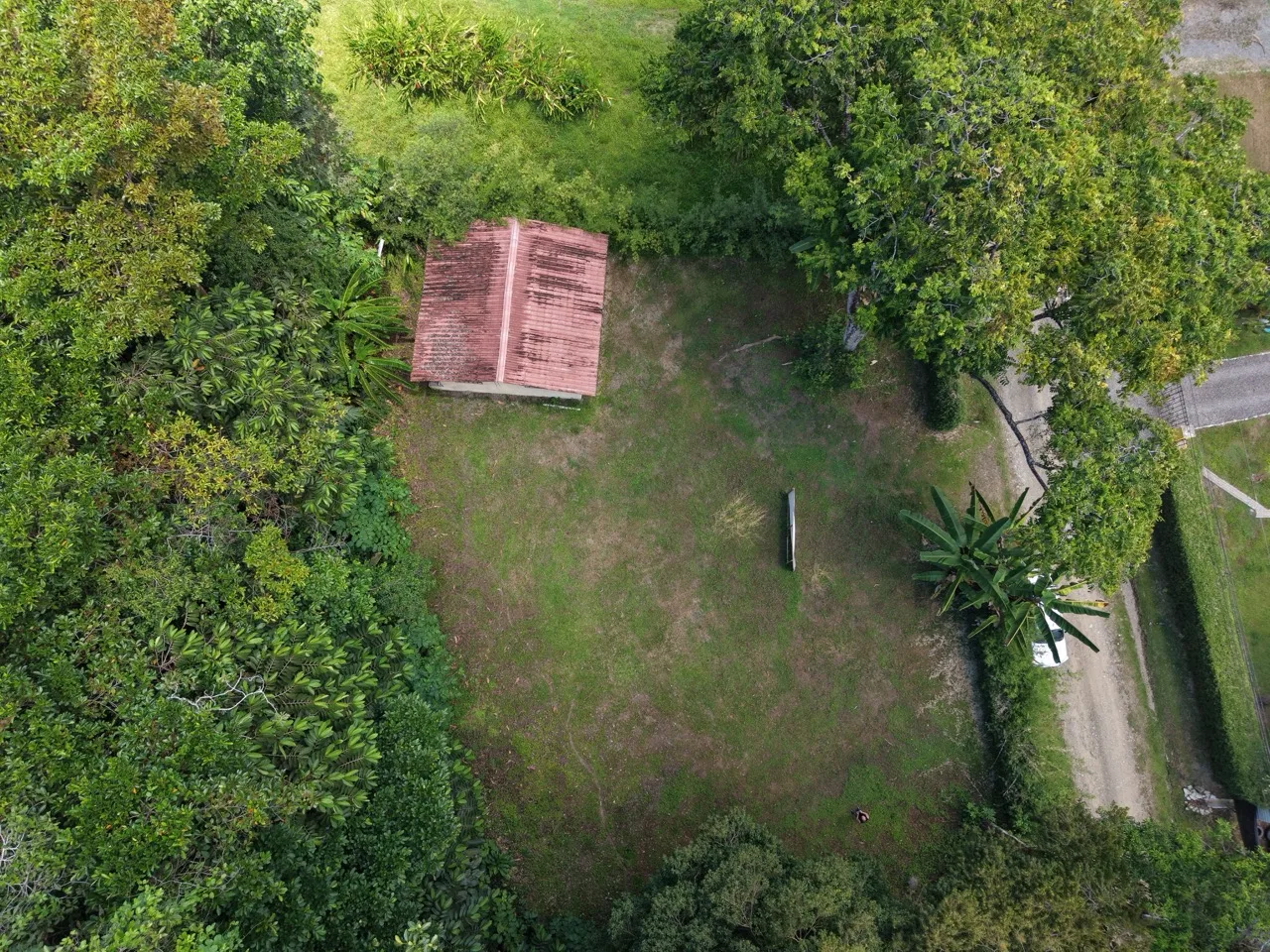 1/3 Acre of Flat Usable Land - 2wheel drive - multi-use, photo 2
