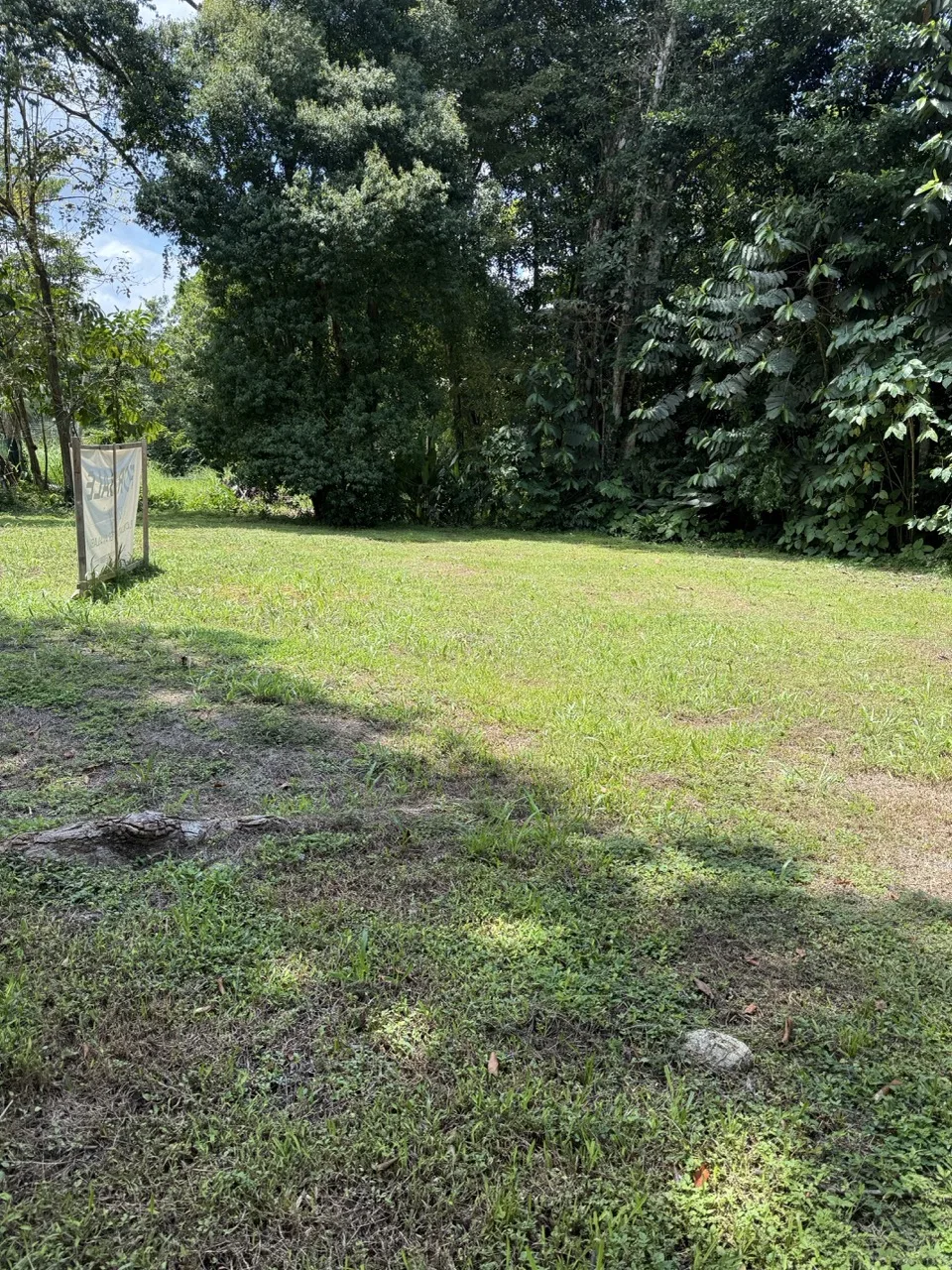 1/3 Acre of Flat Usable Land - 2wheel drive - multi-use, photo 3