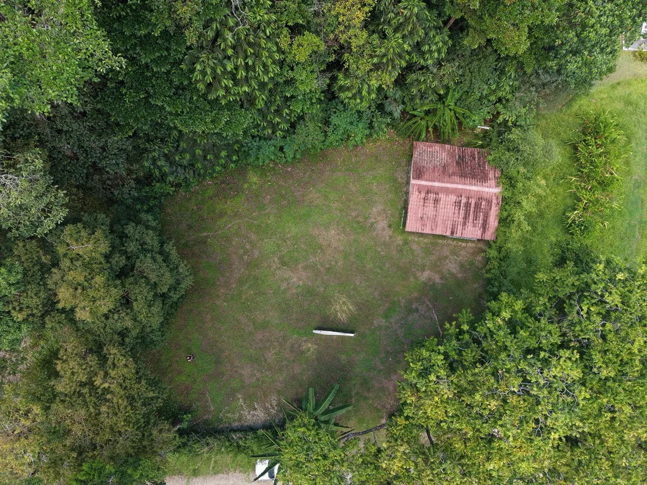 1/3 Acre of Flat Usable Land - 2wheel drive - multi-use, photo 4
