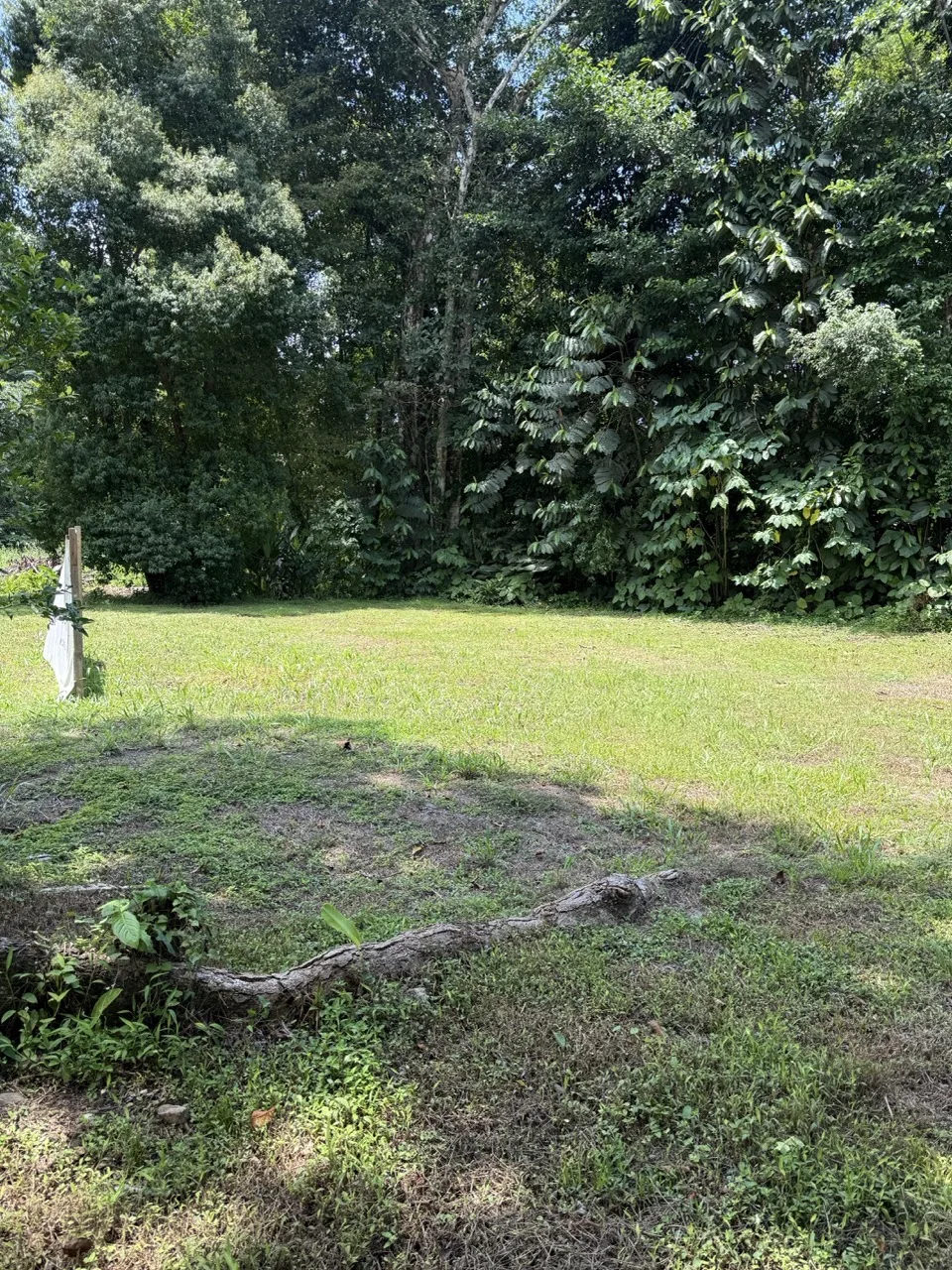 1/3 Acre of Flat Usable Land - 2wheel drive - multi-use, photo 5