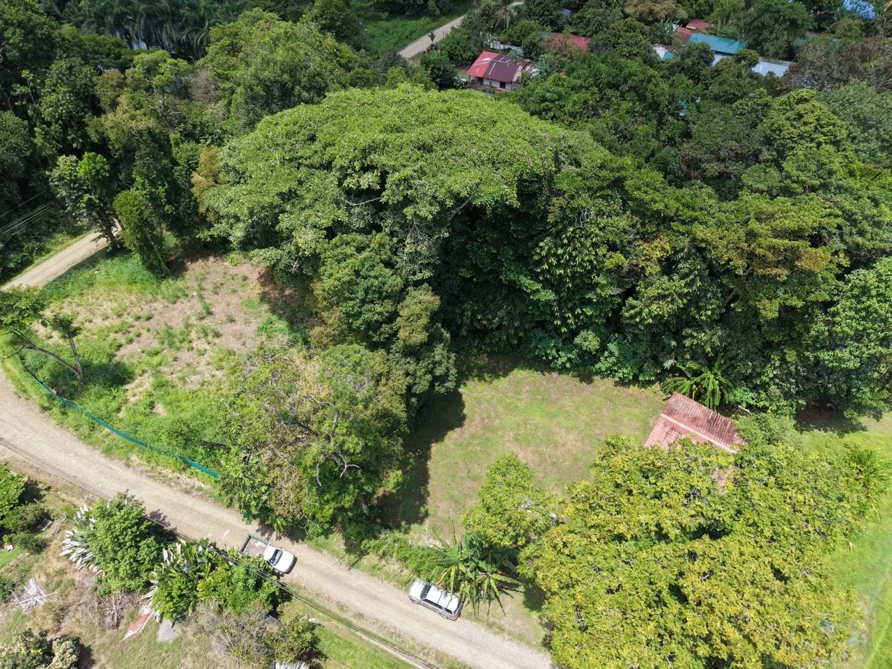 1/3 Acre of Flat Usable Land - 2wheel drive - multi-use, photo 6