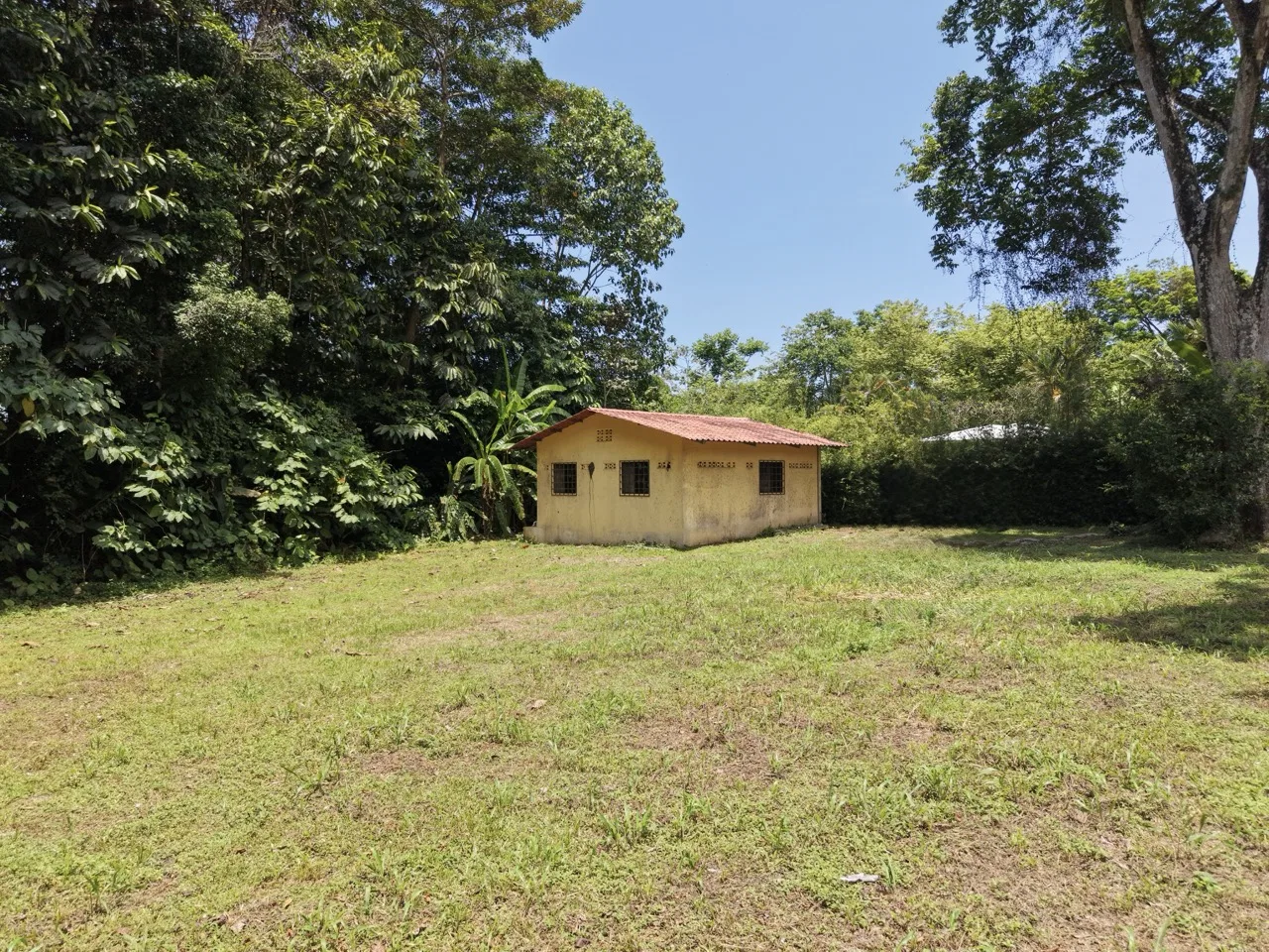 1/3 Acre of Flat Usable Land - 2wheel drive - multi-use, photo 7